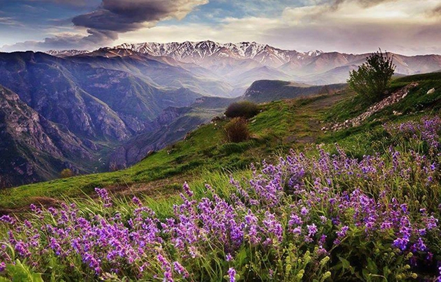 Баргашат, Запад Армении